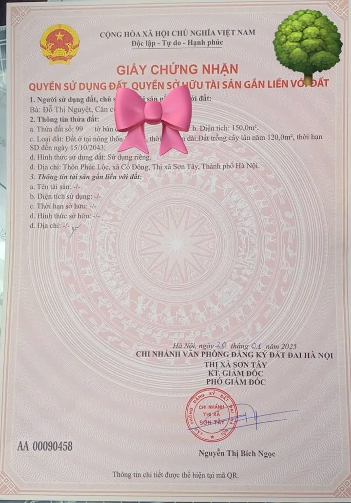 Đất nền thôn Phúc Lộc, Cổ Đông, Sơn Tây 150m² chỉ 1.5 tỷ - Cơ hội đầu tư vàng!