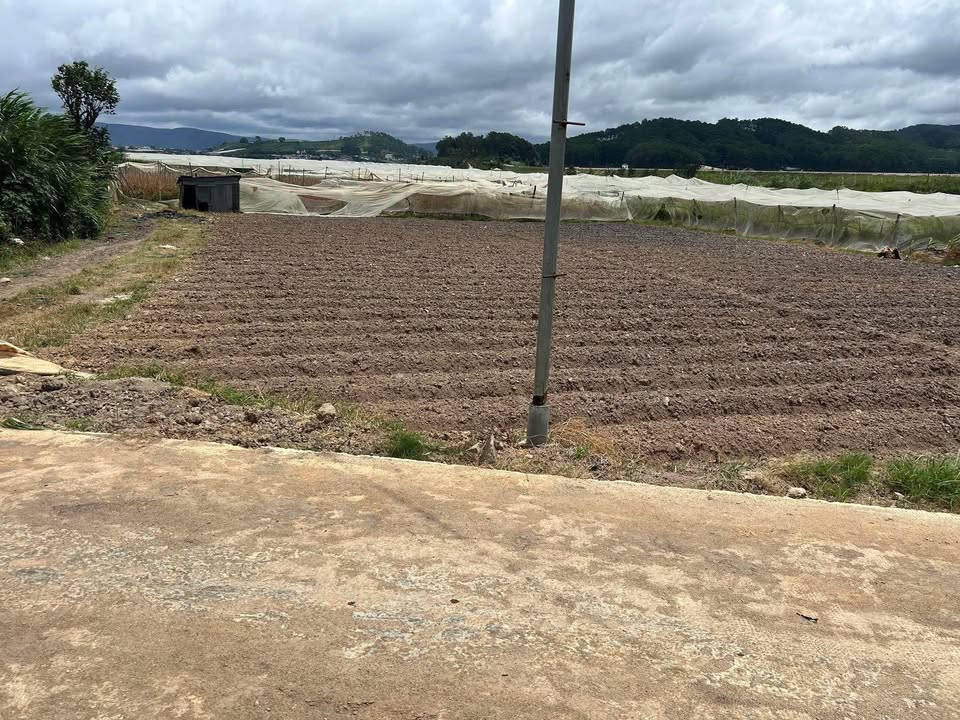 Đất thổ cư Quảng Lập, Đơn Dương 1200m² giá chỉ 1.3 tỷ - Đầu tư sinh lời ngay!