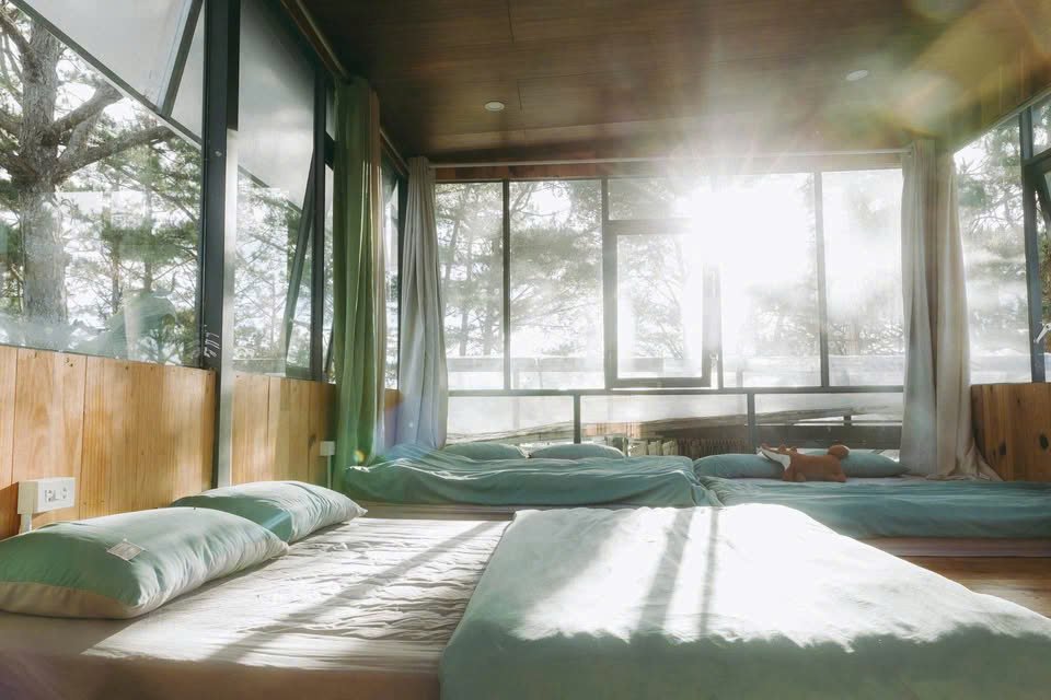 Cho thuê homestay Đà Lạt 12 phòng giá 40 triệu - Kinh doanh ngay!