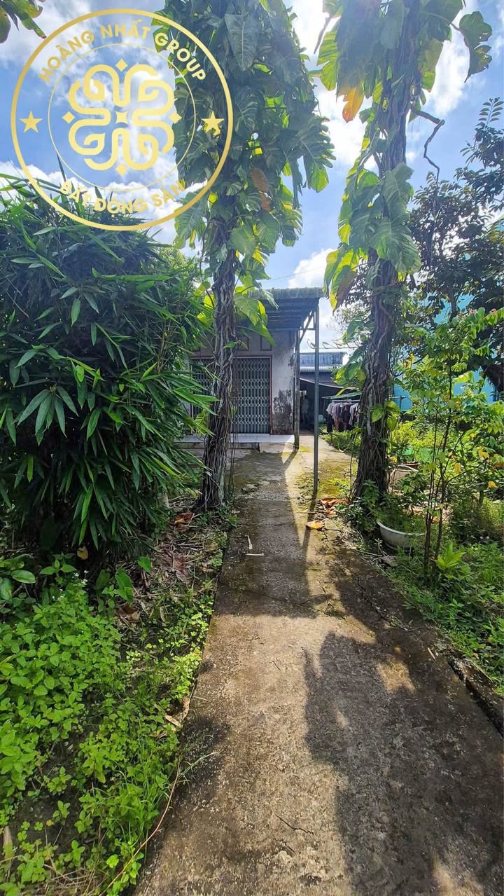 Nhà cấp 4 Lý Văn Lâm, Cà Mau 436m² giá 1.8 tỷ - Không gian sống lý tưởng!