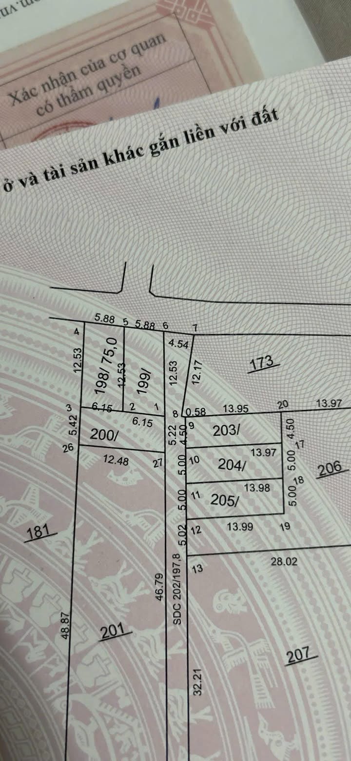 Đất lô góc 75m² tại thôn Tân Trại, Sóc Sơn - Vị trí kinh doanh đắc địa!