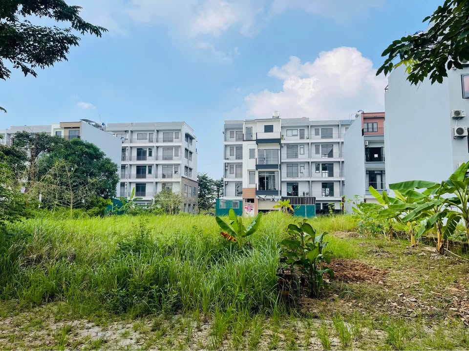 Đất nền khu đô thị TMS Phúc Yên 116m² giá 39 triệu/m² - Tiềm năng tăng giá cao!