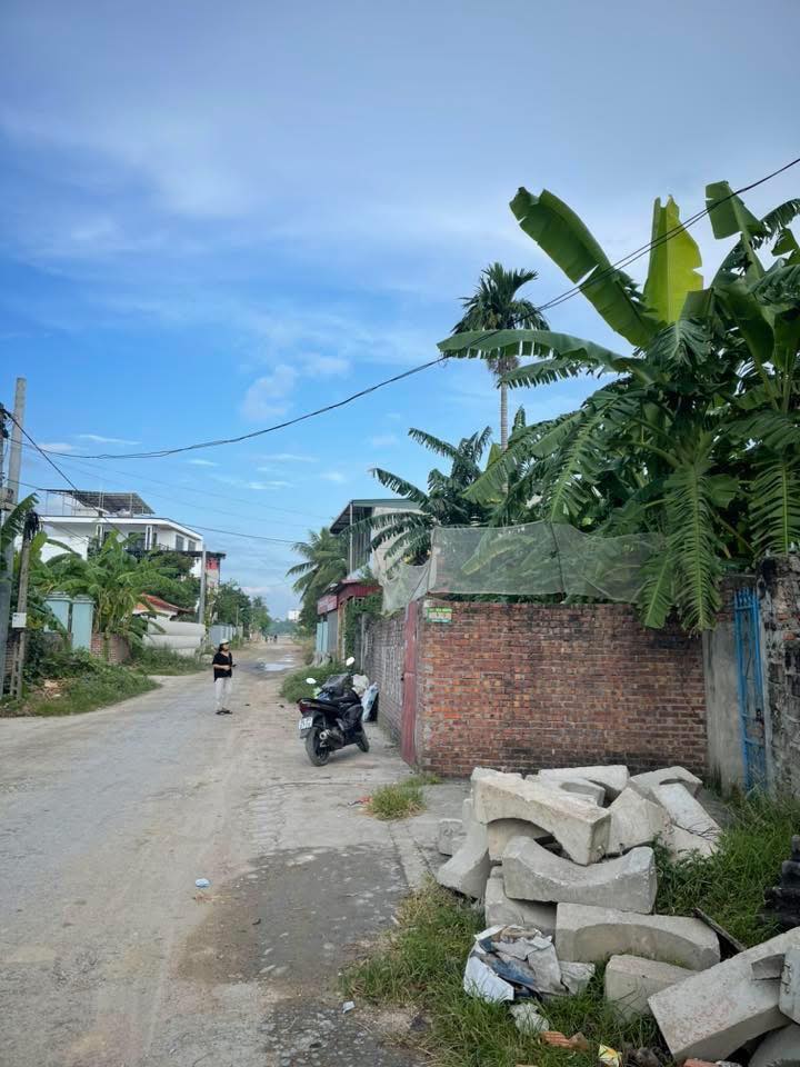 Đất nền Kim Anh, Kim Thành 375m² giá 6.75 tỷ - Đầu tư sinh lời ngay!