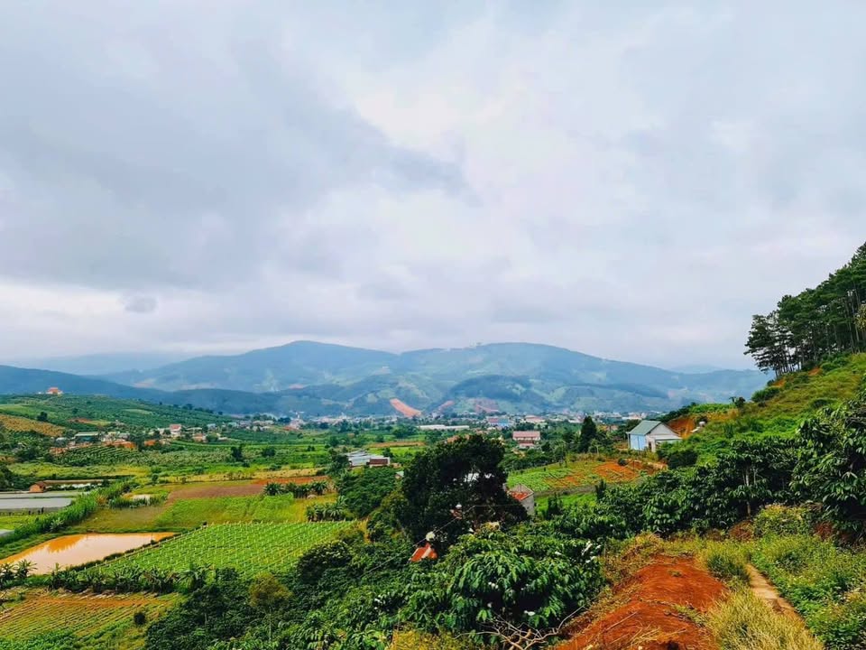 Đất nền thôn 3 Mê Linh 1000m² giá 1.45 tỷ - View đồi núi tuyệt đẹp!