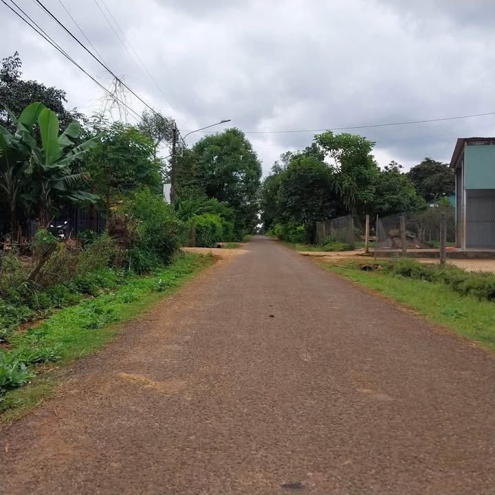 Đất nền mặt tiền Ỷ Lan - Biển Hồ 290m² giá 1.4 tỷ - Đầu tư sinh lời hấp dẫn!