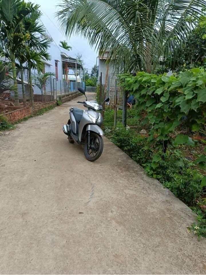 Đất nền Hẻm bê tông thôn 2 Đắk Sắk 205m² giá 230 triệu - Đầu tư sinh lời ngay!