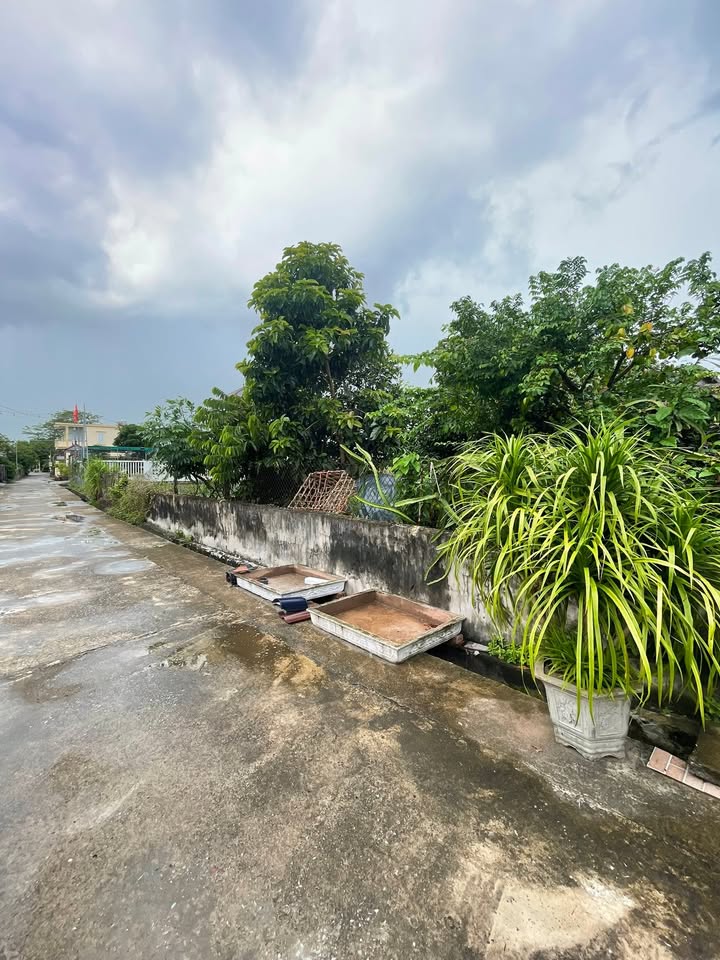 Đất nền Giao Yến 300m² giá thỏa thuận - Sổ đỏ chính chủ, vị trí đắc địa!