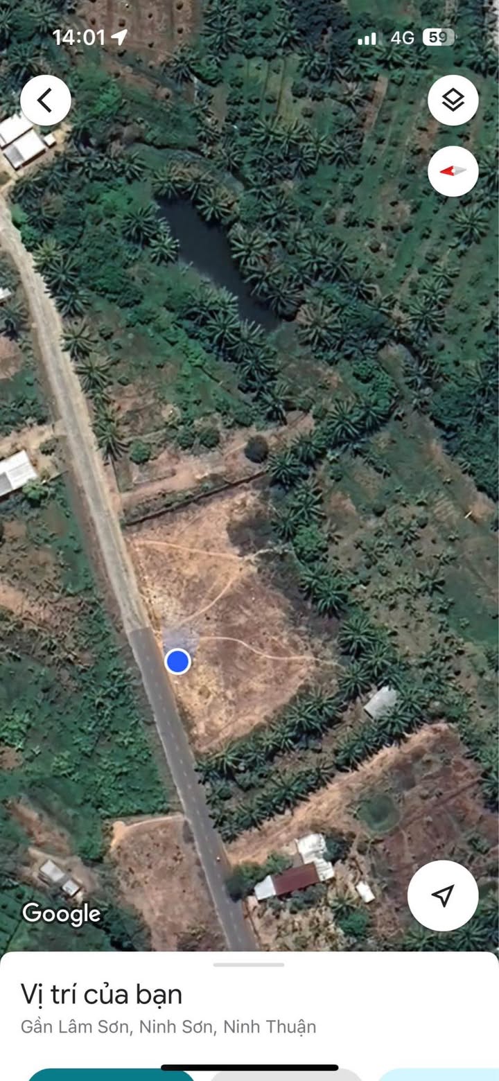 Bán đất thổ cư 3000m² tại Thôn Lâm Phú, Khánh Hòa - Giá 90 tỷ, chính chủ!