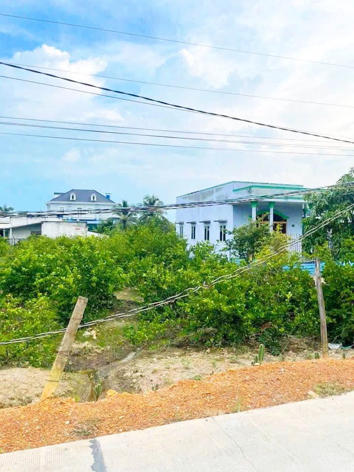 Đất vườn 2355m² xã Bình Đức, Bến Lức - Giá chỉ 3.2 tỷ, thương lượng!