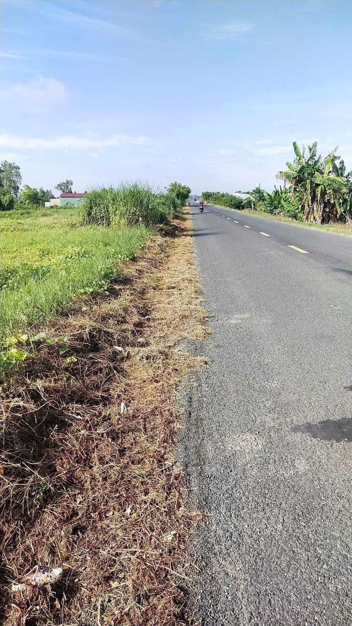 Đất ruộng 10 công Láng Biển, Tháp Mười - Mặt tiền 47m, giá 4 tỷ thương lượng!