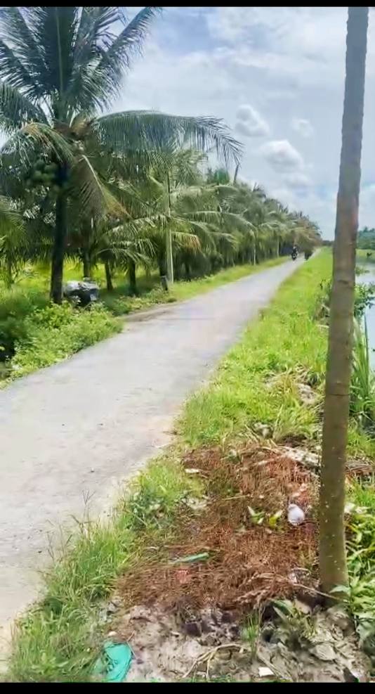 Nhà cấp mới xây 3 tháng, đất vườn 5247m² giá 2.5 tỷ - Đầu tư sinh lời lý tưởng!