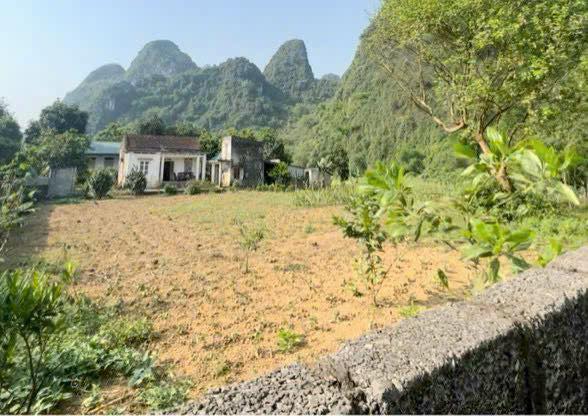 Đất nền góc 2 mặt tiền tại Khoan Dụ, Lạc Thủy, Hòa Bình 420m² giá 600 triệu - Cơ hội đầu tư lý tưởng!