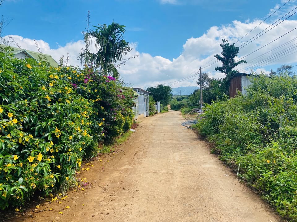 Đất thổ cư Liên Hiệp, Đức Trọng 174m² giá chỉ 1.3 tỷ - Cơ hội đầu tư tuyệt vời!