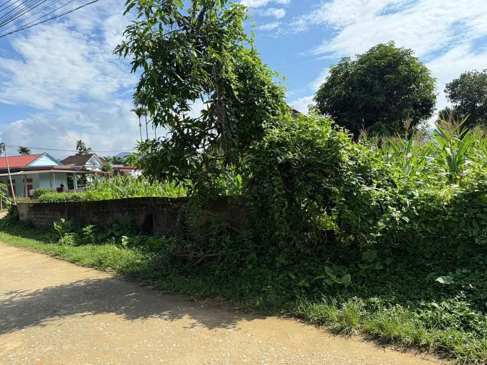 Bán lô đất đẹp tại xóm Cốc, xã Võ Miếu, huyện Thanh Sơn, 220m² - Cơ hội đầu tư tuyệt vời!