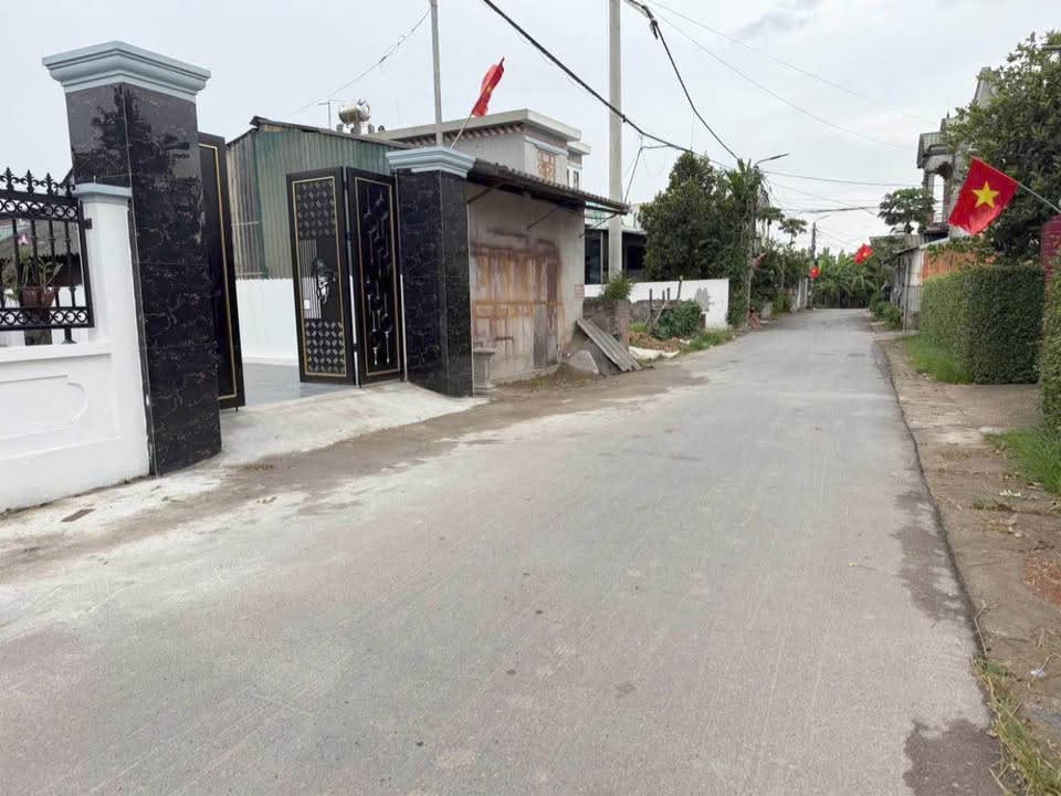 Đất nền chính chủ Thôn Chùa Vàng, Tam Đảo 132m² chỉ 1 tỷ - Cơ hội đầu tư hấp dẫn!