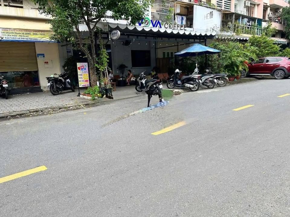 Shophouse cho thuê tại Tây Thạnh, Tân Phú - 64m² chỉ 7 triệu/tháng!