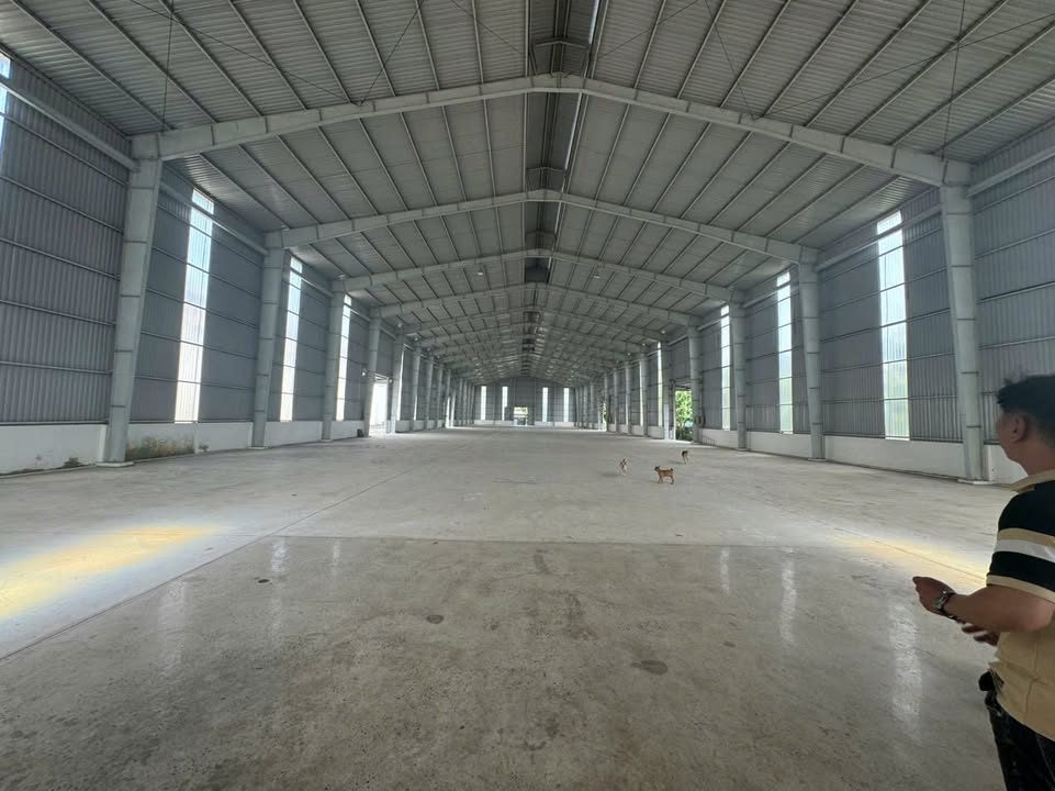 Cho thuê kho xưởng mặt tiền Trần Đại Nghĩa, Bình Chánh 1.100m² giá 110 triệu - Giao thông thuận tiện!