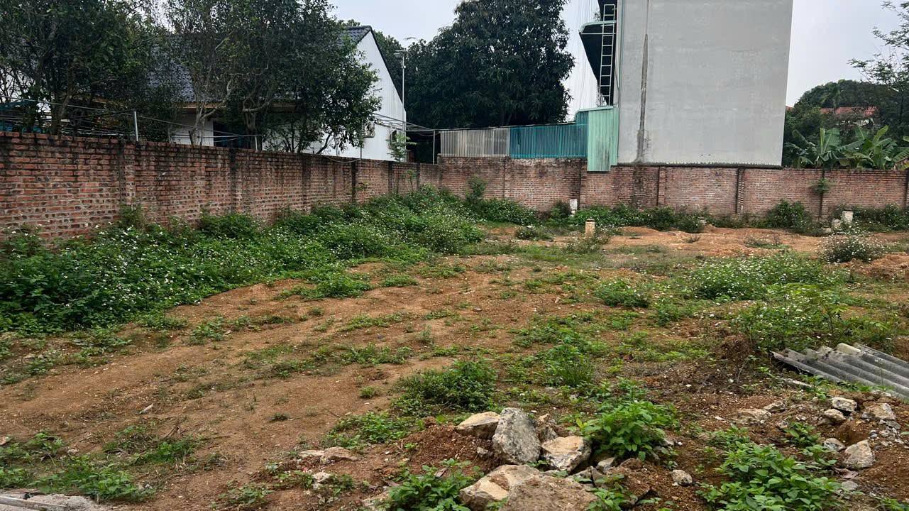 Đất thổ cư 603m² tại thôn Kim Bông, Thạch Thất - Giá 40 tỷ, đầu tư sinh lời cao!