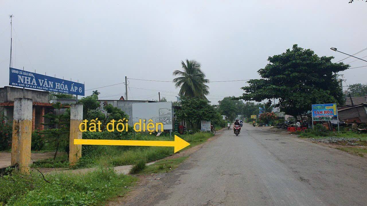 Đất mặt tiền kinh doanh ĐT 782, Ấp 6, Bàu Đồn, Tây Ninh 700m² - Giá chỉ 2.25 tỷ!