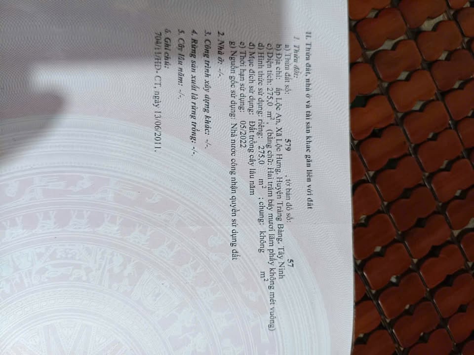 Đất nền Ấp Lộc An, xã Lộc Hưng, huyện Trảng Bàng - Diện tích 280m² giá 800 triệu - Cơ hội đầu tư tuyệt vời!