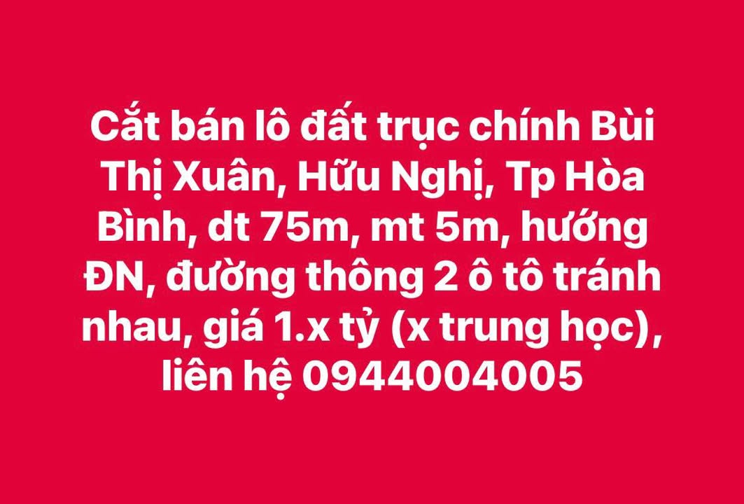Đất nền Bùi Thị Xuân, Hòa Bình 75m² - Vị trí đẹp, giá chỉ 1 tỷ!