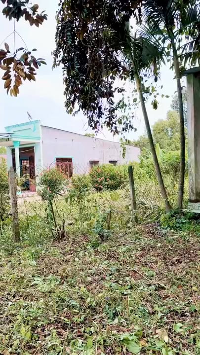 Nhà phố mặt tiền Đường Đá Mi 420m² giá 820 triệu - Sổ hồng chính chủ!