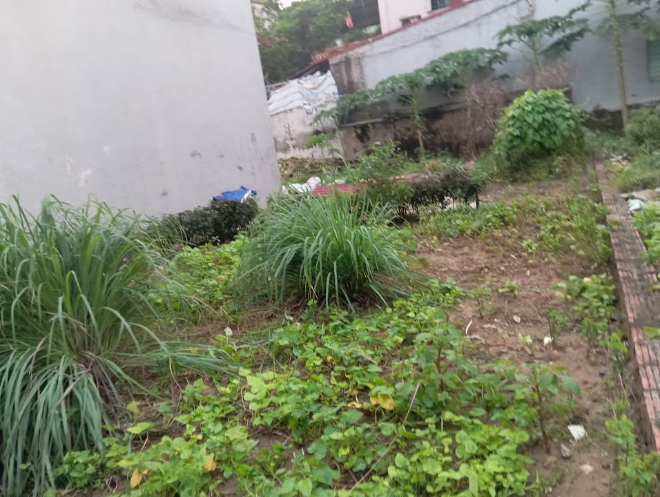 Nhà riêng Quang Minh Mê Linh 62m² giá 3.6 tỷ - Sổ đỏ chính chủ, sẵn sàng giao dịch!