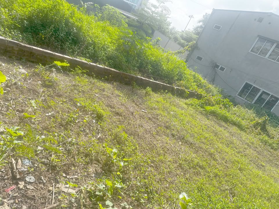 Đất nền chính chủ đường Quang Trung, Việt Trì 99m² - Nở hậu tài lộc, giá 5 tỷ!