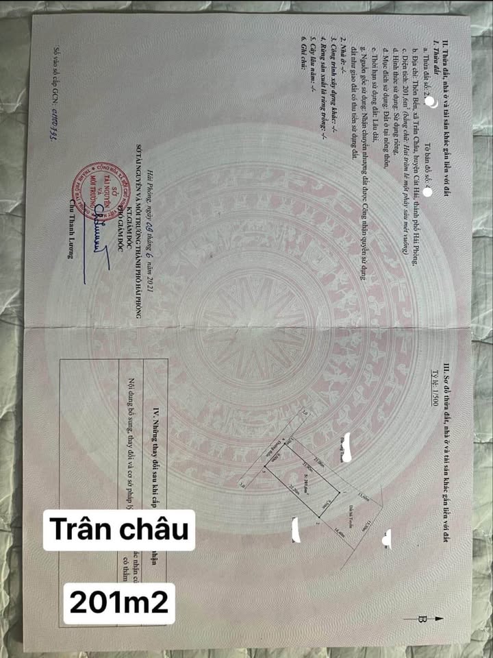 Đất nền 201m² trung tâm xã Trân Châu, Đảo Cát Bà - Giá chỉ 4,2 tỷ thương lượng!