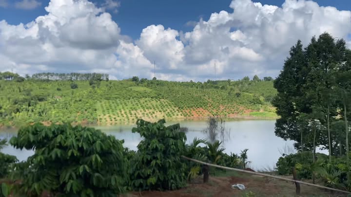 Đất Farm Tân Thành, Krông Nô 13.000m² giá 5 tỷ - Đầu tư sinh lời lý tưởng!