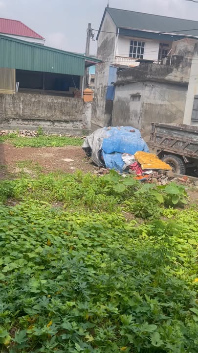 Đất nền Phù Lưu, Mỹ Đức 106m² giá 1.1 tỷ - Tiềm năng đầu tư lâu dài!