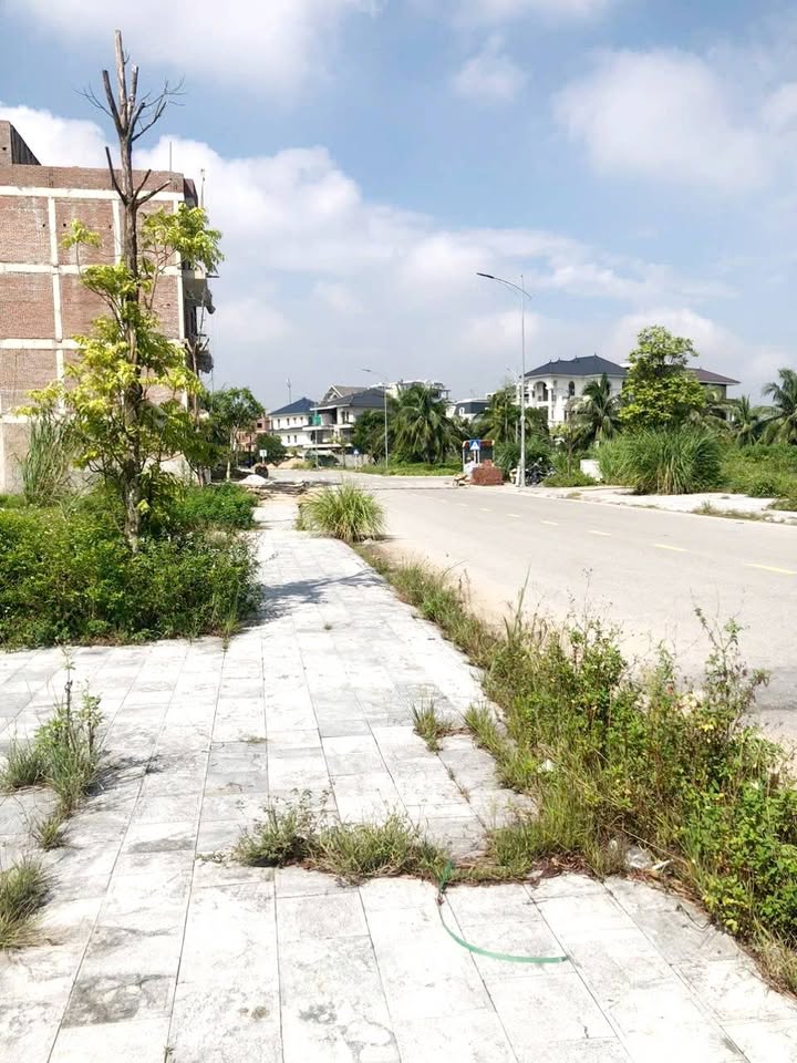 Đất nền Khu đô thị Đông Hải, Thanh Hóa 75m² giá chỉ 4 tỷ - Cơ hội đầu tư tuyệt vời!