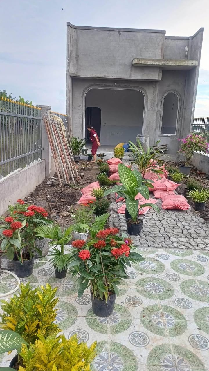 Nhà vườn Cần Đước 341m² giá 1.75 tỷ - Không thể bỏ lỡ!