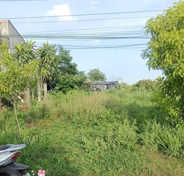 Đất thổ cư 144m² mặt tiền đường Dương Quang Đông - Giá chỉ 1.512 tỷ