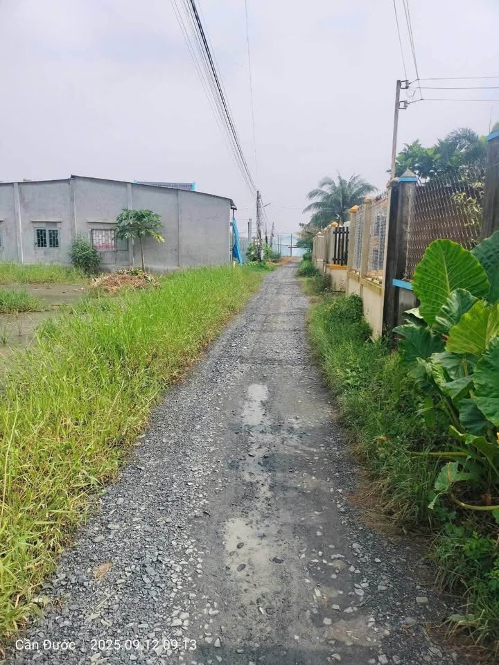 Đất thổ cư đường Cầu Nhỏ, xã Mỹ Lệ, 142m² giá 900 triệu - Sổ đỏ chính chủ!