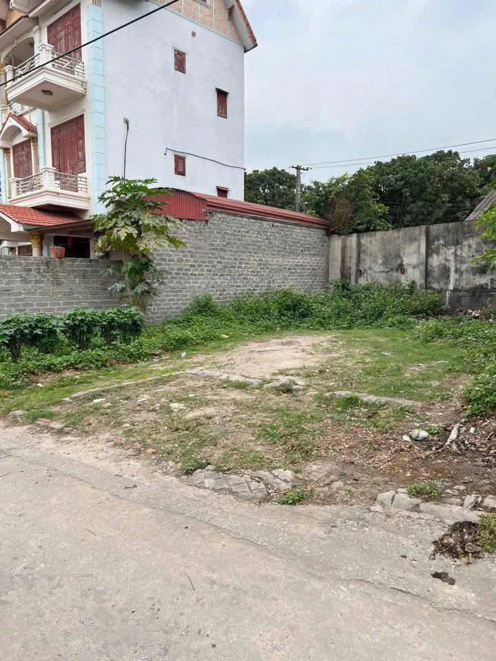 Đất nền Tân Thành, Lạng Giang 67m² chỉ 700 triệu - Cơ hội đầu tư hấp dẫn!