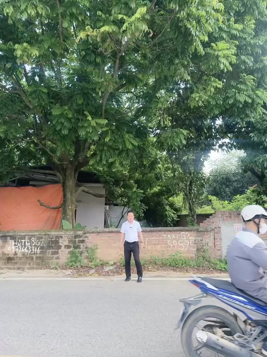 Đất nền khu 6 xã Hà Lộc, Phú Thọ 100m² giá 2.1 tỷ - Cơ hội đầu tư hấp dẫn!