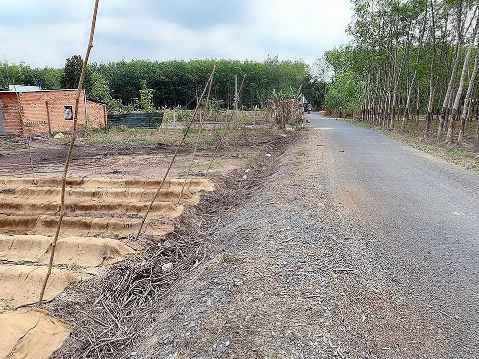 Đất nền An Nhơn Tây - Củ Chi 7833m² giá 25 tỷ - Đầu tư sinh lời ngay!