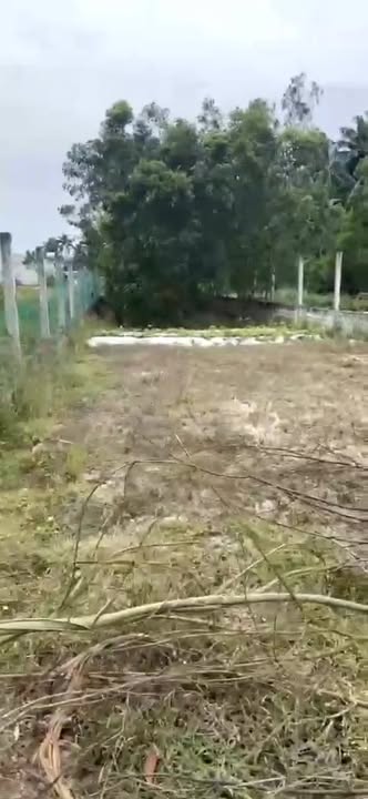 Đất nền Tân Trung, Hoài Nhơn 200m² giá chỉ 4xx triệu - Cơ hội đầu tư tuyệt vời!