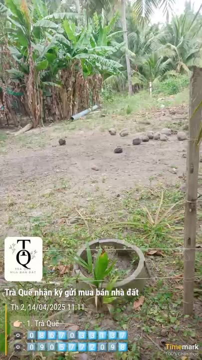 Đất nền Tân Thành 2, Tam Quan Bắc 100m² giá 400 triệu - Cơ hội đầu tư tuyệt vời!