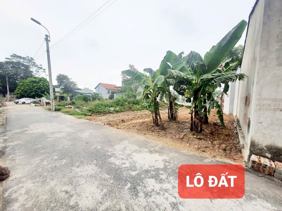 Lô đất thổ cư 50m² tại Lai Sơn, Đồng Tâm, Vĩnh Yên 174m² - Giá chỉ 1.8 tỷ!