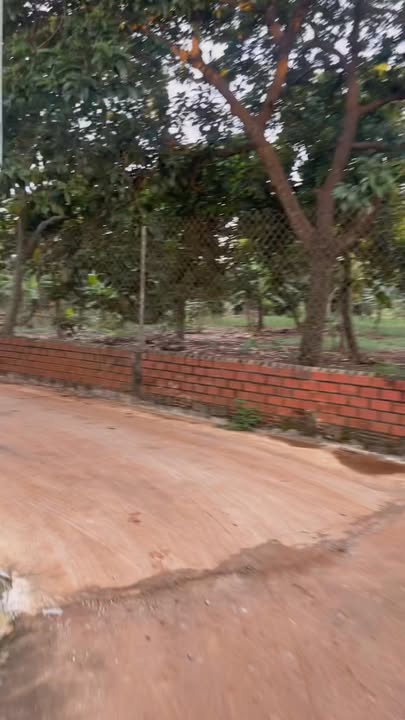 Đất thổ cư 120m² mặt tiền đường Petong - Gia Kiệm chỉ 650 triệu!