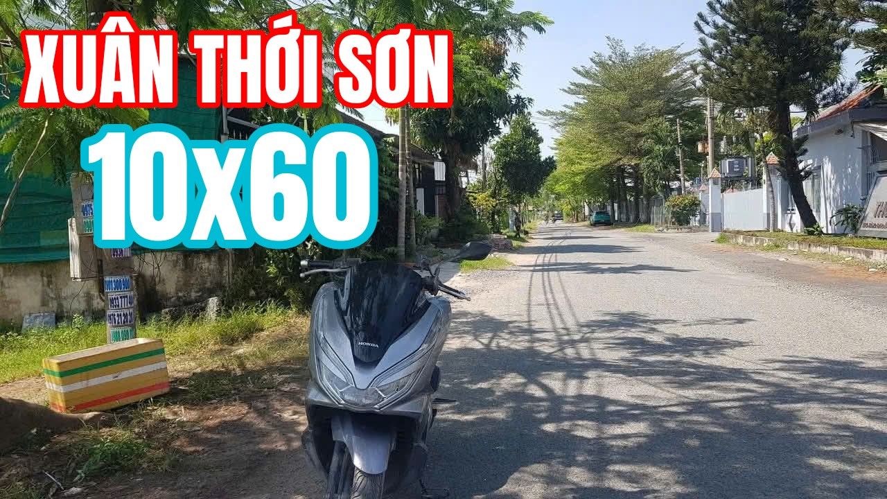 Đất nông nghiệp 600m² Trương Thị Như Hóc Môn - Phù hợp làm nhà vườn hoặc kho xưởng!