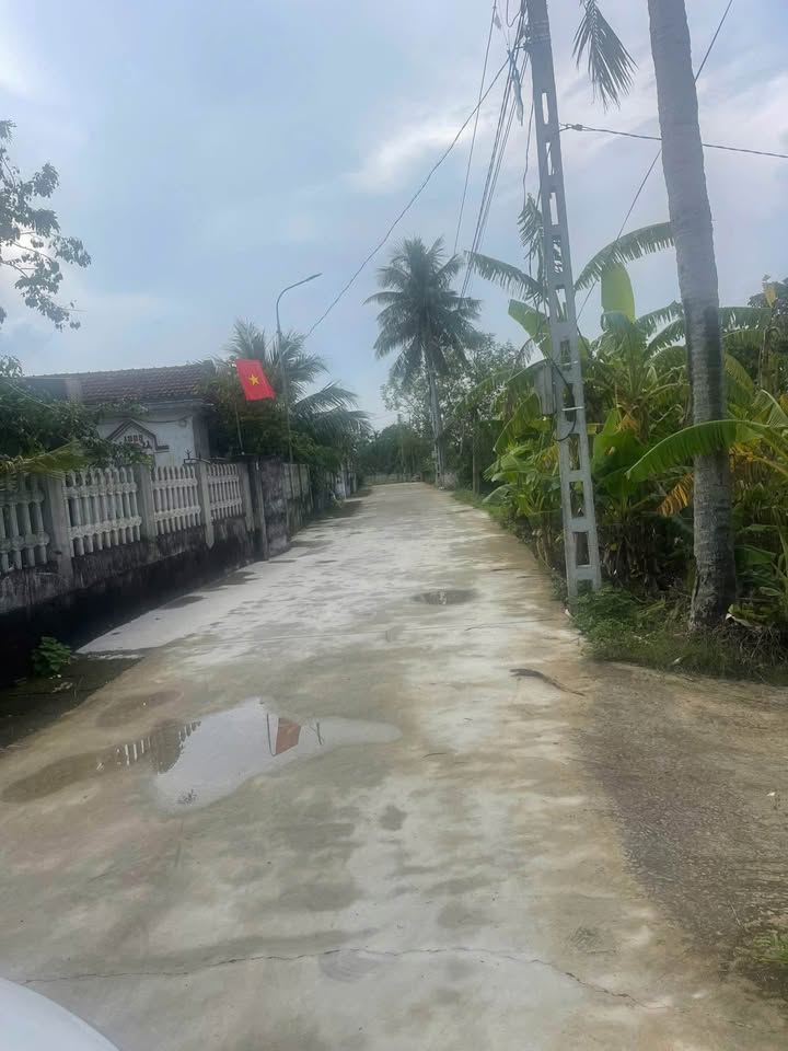 Đất chính chủ Quảng Ngọc 124m² giá chỉ 500 triệu - Cơ hội đầu tư tuyệt vời!