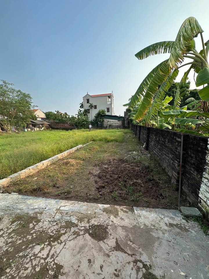 Lô đất Chương Dương Thường Tín 56m² giá 1.98 tỷ - Đường ô tô vào tận nơi!