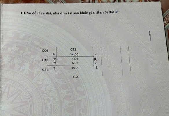 Đất đấu giá Phú Lương 56m² giá đầu tư - Chính chủ bán gấp!
