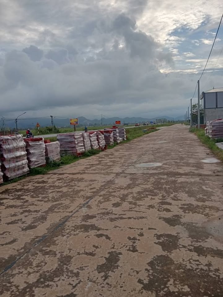 Đất nền Thạch Vĩnh, 110m² giá 2.5 tỷ - Mặt đường Tỉnh lộ 3, kinh doanh thuận lợi!