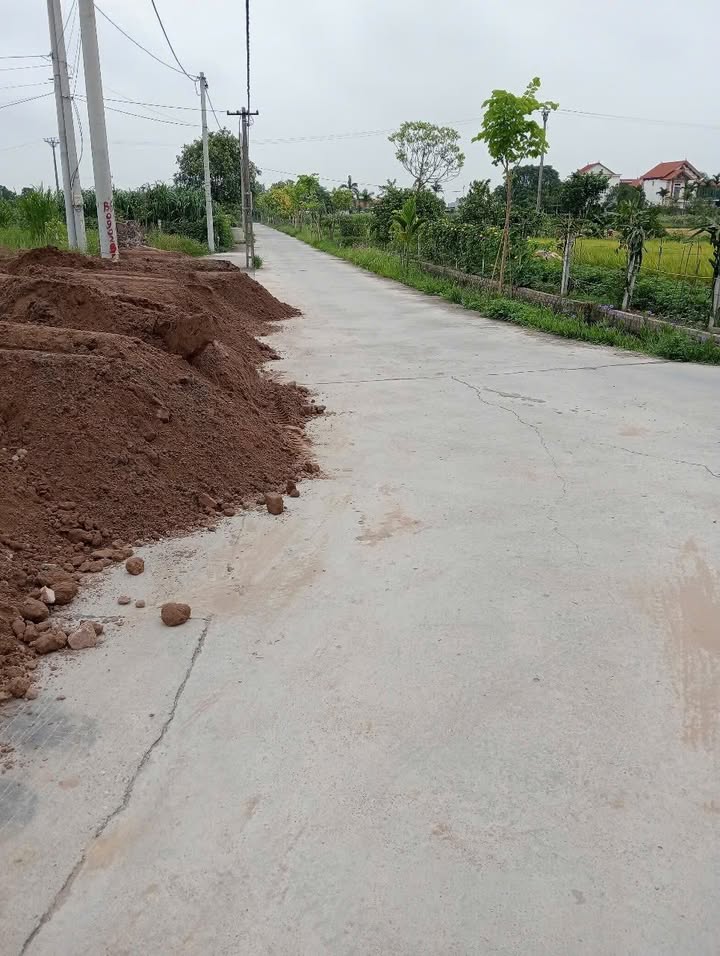 Đất nền góc Kim Trang Đông, Lam Sơn, Thanh Miện 91.5m² - Vị trí đắc địa kinh doanh!