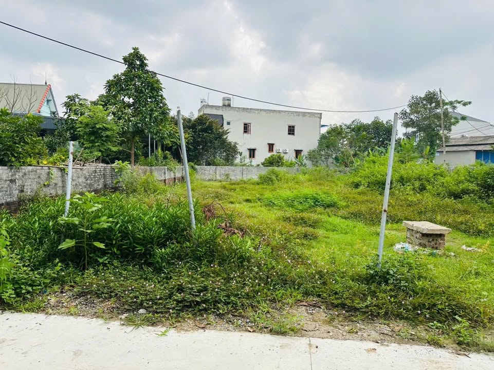 Đất thổ cư 118m² mặt tiền 8m tại phường Trung Tâm - Giá chỉ 1,2 tỷ!