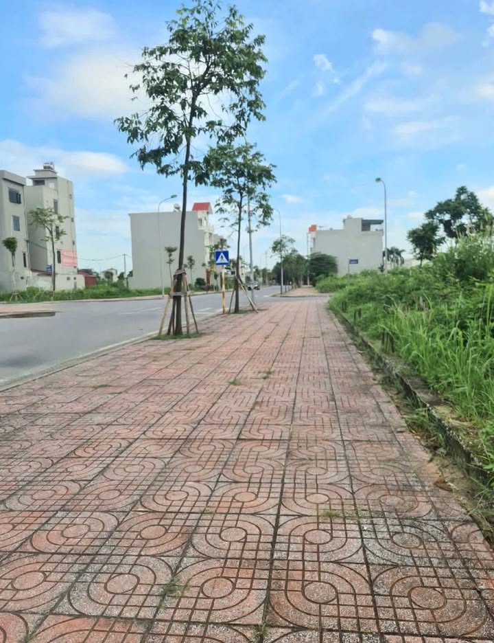 Đất nền Ford Tứ Minh, TP Hải Dương 67,5m² giá 2,8 tỷ - Cơ hội đầu tư hiếm có!